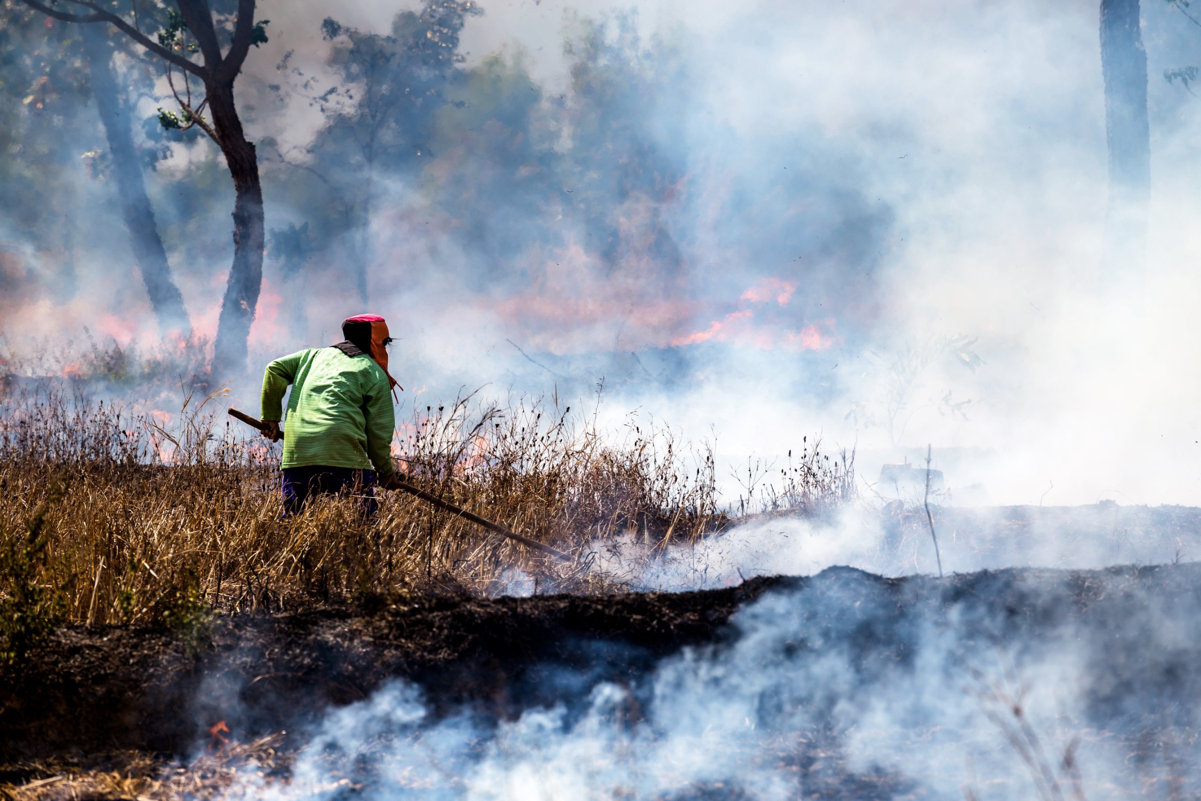 Here Comes the Smoke: How Wildfires Affect the Frontline.